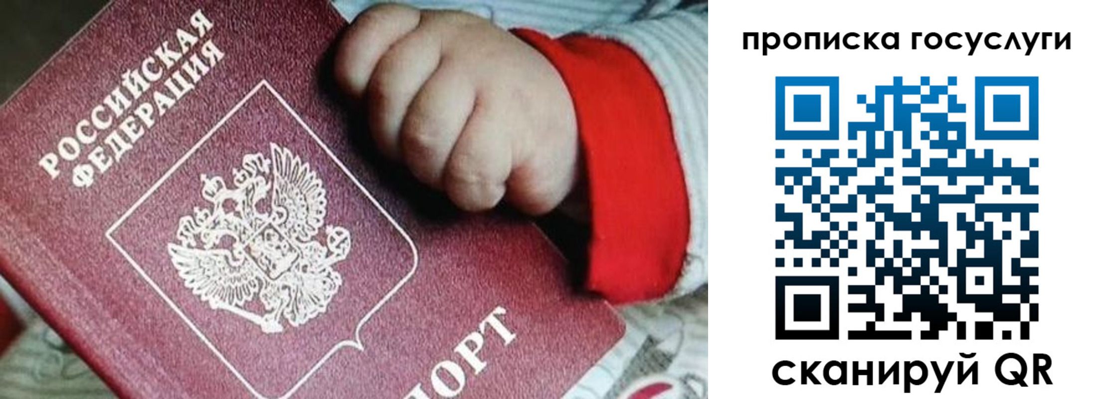 прописка штамп в Ясном